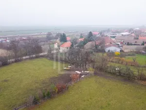 Prodej podílu pozemku, Třebíz, 161602 m2