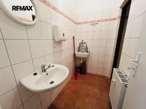 Pronájem obchodního prostoru, Kyjov, 78 m2