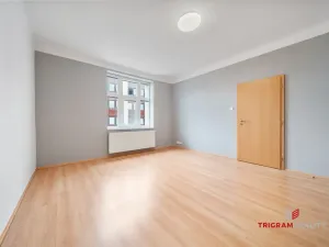 Prodej bytu 2+kk, Hradec Králové - Pražské Předměstí, Horova, 48 m2