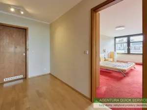 Prodej bytu 2+kk, Praha - Vinohrady, Chrudimská, 113 m2