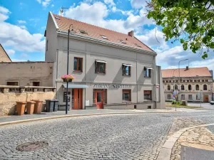 Prodej bytu 2+1, Slaný, Vinařického, 39 m2
