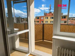 Prodej bytu 3+1, Vyškov - Vyškov-Město, 67 m2