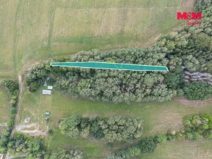 Prodej lesa, Rodná, 715 m2