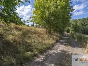 Prodej pozemku pro bydlení, Merklín, 1128 m2