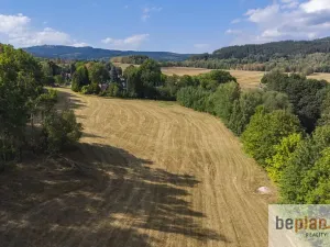Prodej pozemku pro bydlení, Merklín, 1038 m2