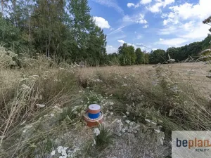 Prodej pozemku pro bydlení, Merklín, 1038 m2