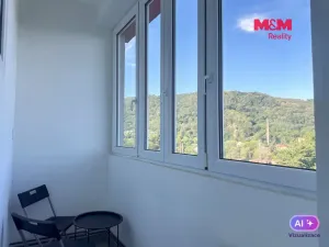 Prodej bytu 2+kk, Ústí nad Labem - Střekov, Purkyňova, 48 m2