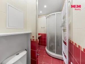 Prodej bytu 3+1, Ústí nad Labem - Střekov, Nová, 65 m2