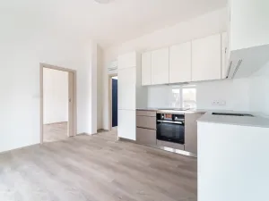Pronájem bytu 2+kk, Brno, Palackého třída, 45 m2