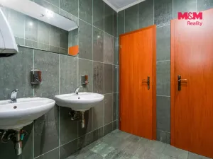 Prodej obchodního prostoru, Praha, Trnkovo náměstí, 324 m2