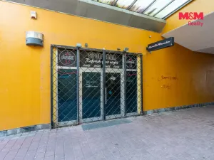Prodej obchodního prostoru, Praha, Trnkovo náměstí, 324 m2