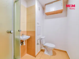 Prodej bytu 1+kk, Karlovy Vary - Doubí, 20 m2