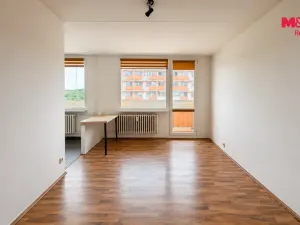 Prodej bytu 2+1, Bílina - Pražské Předměstí, Aléská, 48 m2