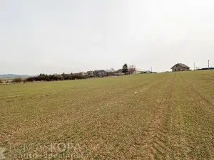 Prodej pozemku pro bydlení, Chlustina, 3708 m2