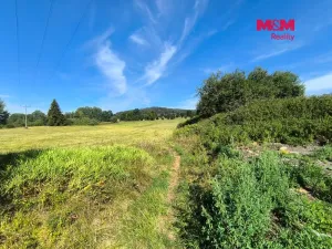 Prodej pozemku pro bydlení, Volary, Finské domky, 8083 m2