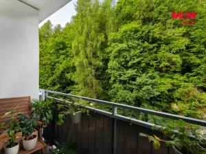 Prodej bytu 2+1, Desná, Krátká, 55 m2