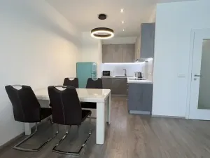 Pronájem bytu 2+kk, Praha - Karlín, Nekvasilova, 67 m2