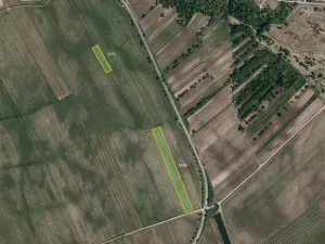 Prodej sadu/vinice, Kobylí, 23542 m2