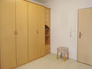 Pronájem bytu 2+kk, Brno, Purkyňova, 54 m2
