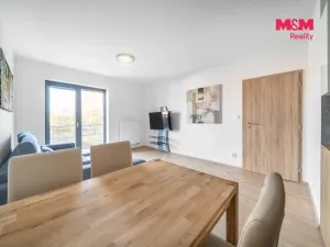 Prodej bytu 2+kk, Třemošná, Školní, 50 m2