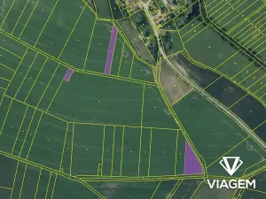 Prodej podílu pole, Smidary, 2029 m2