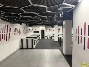 Pronájem komerční nemovitosti, Kroměříž, Křižná, 250 m2