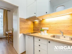 Pronájem bytu 1+kk, Praha - Vyšehrad, Vratislavova, 23 m2