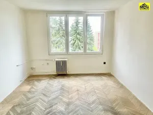 Prodej bytu 1+1, Tábor, Angela Kančeva, 30 m2