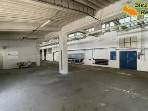 Pronájem výrobních prostor, Vratimov, Tovární, 1181 m2