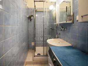 Prodej bytu 2+kk, Praha - Nusle, Zdaru, 44 m2