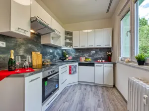 Pronájem bytu 2+1, Chomutov, Blatenská, 52 m2