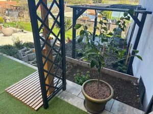 Prodej rodinného domu, Kostice, 333 m2