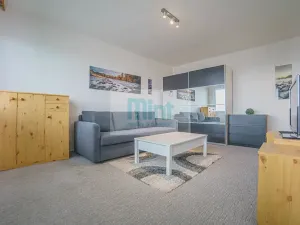 Pronájem bytu 1+1, Ostrava, Resslova, 29 m2
