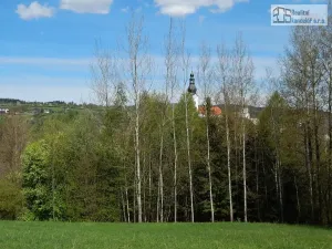 Prodej pozemku pro bydlení, Branná, 3500 m2