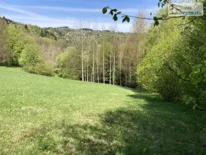 Prodej pozemku pro bydlení, Branná, 3500 m2