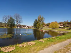 Prodej rodinného domu, Dešenice, 178 m2