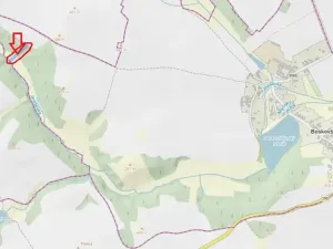 Prodej lesa, Boskovštejn, 1959 m2