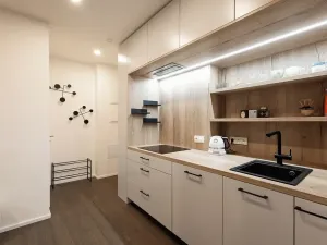 Prodej bytu 2+kk, Praha - Vinohrady, Slavíkova, 56 m2