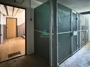 Prodej bytu 1+1, Plesná, Světlá, 35 m2