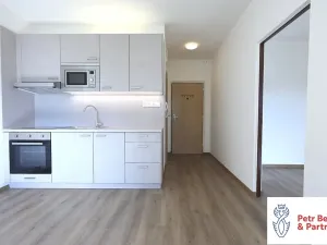 Pronájem bytu 2+kk, Plzeň, Karla Steinera, 36 m2
