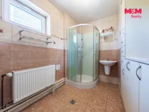 Prodej rodinného domu, Přeštěnice - Týnice, 235 m2