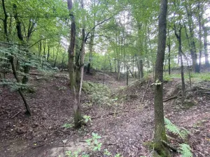 Prodej pozemku, Křečovice - Nahoruby, 3382 m2