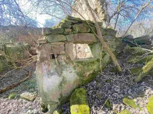 Prodej pozemku, Dolní Dvořiště - Všeměřice, 11107 m2