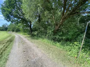 Prodej pozemku, Nové Hrady - Nakolice, 974 m2