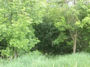 Prodej pozemku, Pohledy - Horní Hynčina, 1135 m2