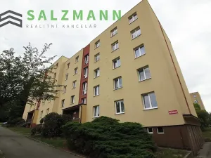 Pronájem bytu 3+1, Plzeň, Pod Švabinami, 74 m2