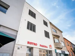 Pronájem bytu 1+kk, Brno, Minská, 21 m2