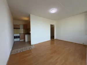 Prodej bytu 2+kk, Brno, Ukrajinská, 45 m2