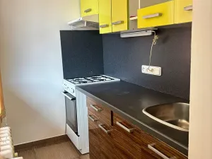 Pronájem bytu 1+kk, Slaný, Všehlušická, 27 m2