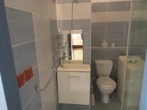Pronájem bytu 1+kk, Liberec, Rychtářská, 21 m2